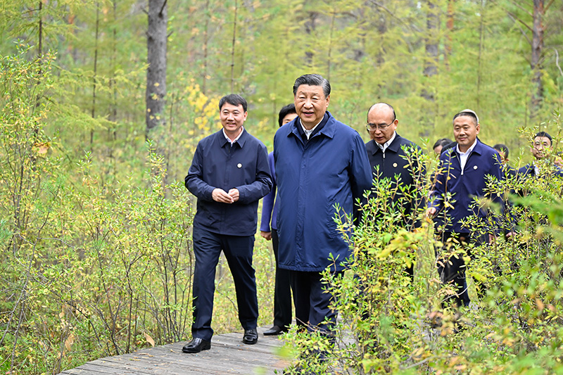 9月6日至8日，中共中央總書(shū)記、國(guó)家主席、中央軍委主席習(xí)近平在黑龍江考察。這是6日下午，習(xí)近平在大興安嶺地區(qū)漠河市漠河林場(chǎng)自然林區(qū)考察